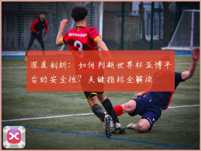 深度剖析：如何判断世界杯亚博平台的安全性？关键指标全解读